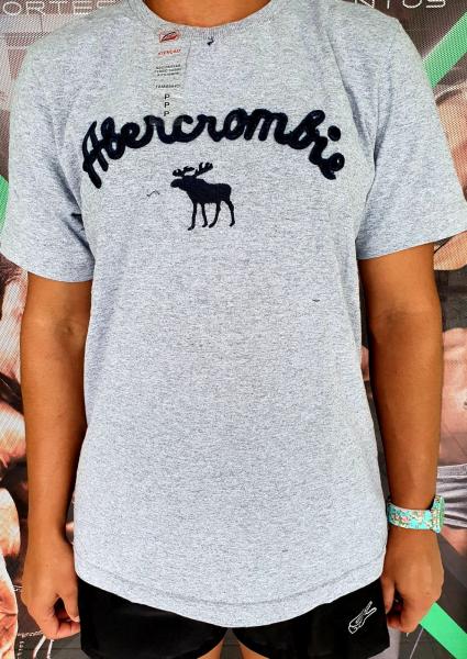 Camiseta Abercrombie Masculina Cinza